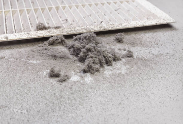 Best HVAC Duct Inspection Services  in Royersford, PA
