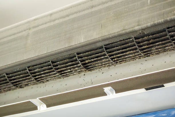 Best Best Air Duct Cleaning Company  in Royersford, PA